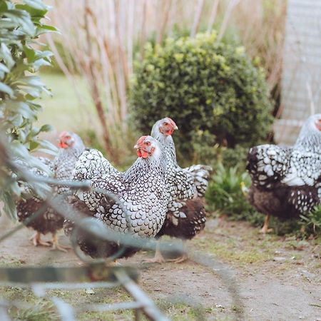 Kardemommehuset Bed & Breakfast Vester-Skerninge ภายนอก รูปภาพ